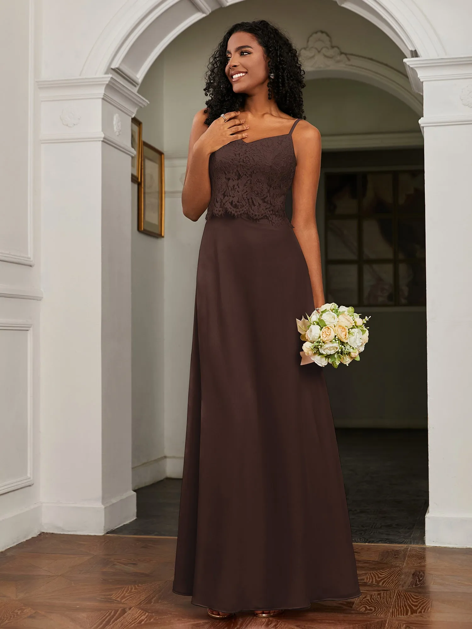 Lace Appliqued  Backless Chiffon A-Line Dress Chocolate Plus Size